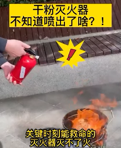 图片12